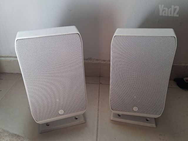 סאבוופר focal 8