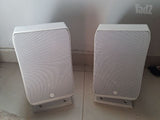 סאבוופר focal 8