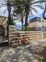 אופני סקוט