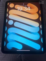 ‏ה-iPad mini ו-iPad Pro
