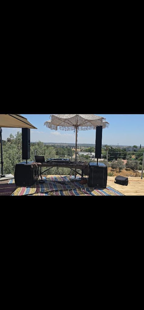 Line array rcf