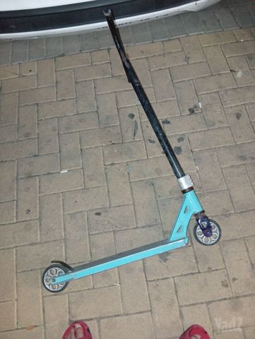 סקוט