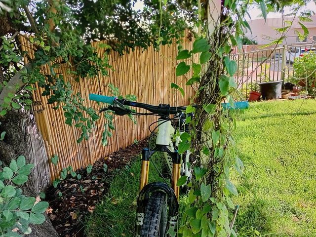 אופניי commencal sx v5