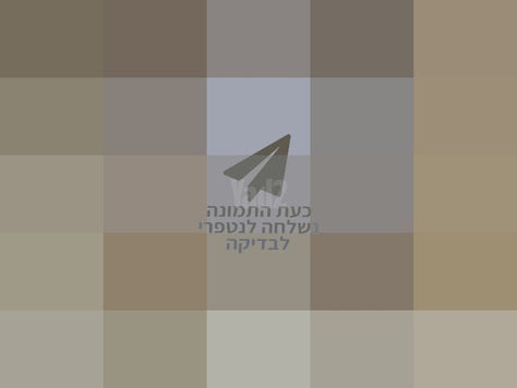 ארון קודש לפר תורה
