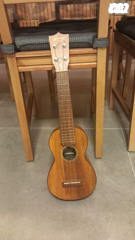 יוקוללה martin