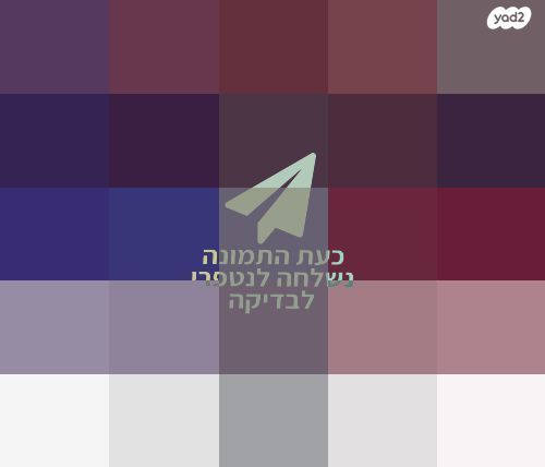 מסך 23.8" DELL IPS P2421DC QHD