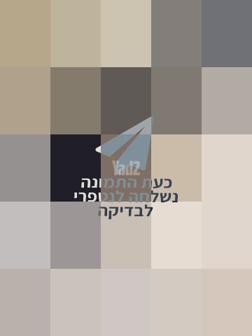קורקינט GoWheels Tiger 10