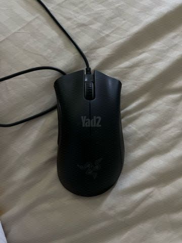ציוד סטאפ
