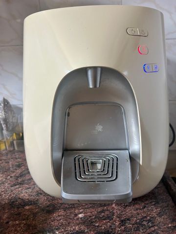 תמי 4 פרימו
