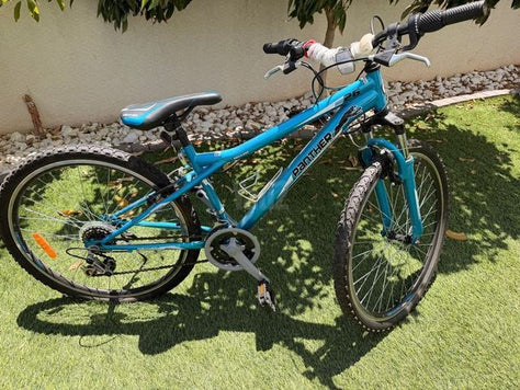 אופני הרים Panther Boxer 26"