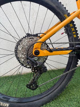 Orbea Wild