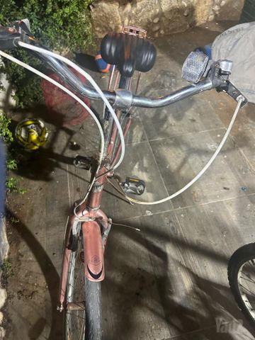 אופני DXL מידה 29