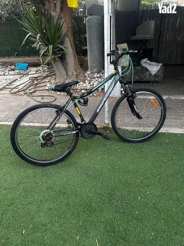 אופנים