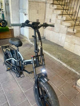 Rider Pro Fat Bike 500W