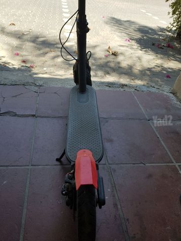 קורקינייט