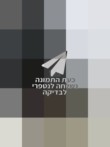 עגלת תאומים