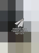 עגלת תאומים