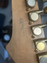 Ibanez blazer 21