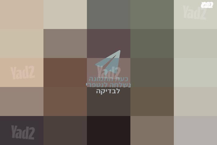 פאה