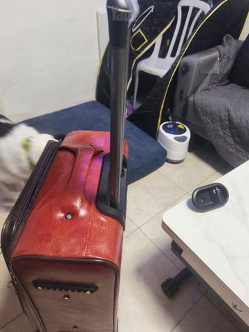 מזוודה 24