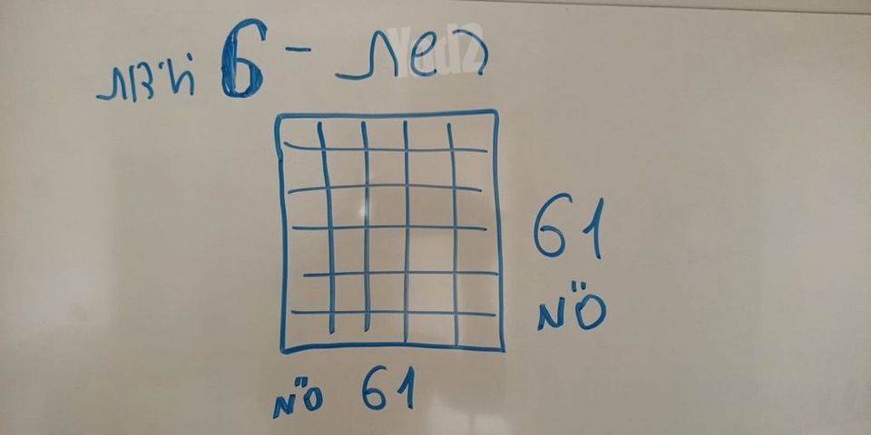 רשת אילוף כלבים