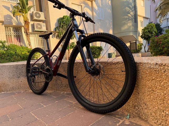 אופניים marin wildcat