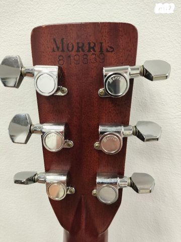 גיטרה Morris w50