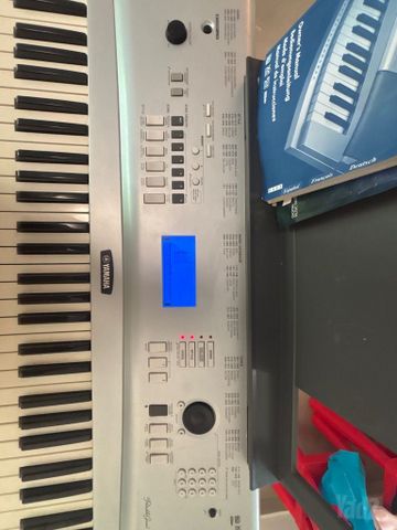 אורגן  yamaha