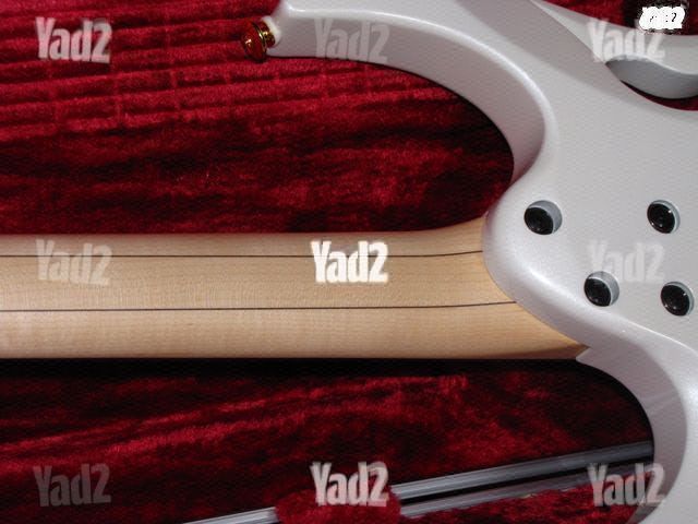Steve Vai "PIA" signature