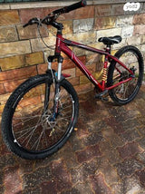 אופני raleigh