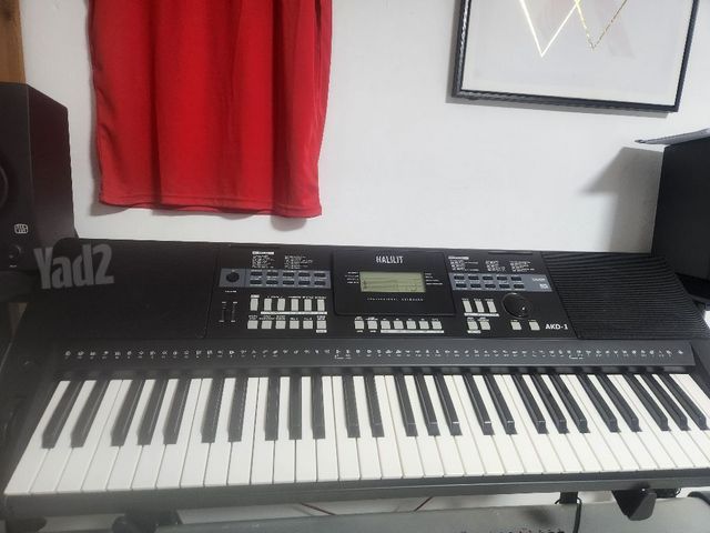 אורגן AKD1