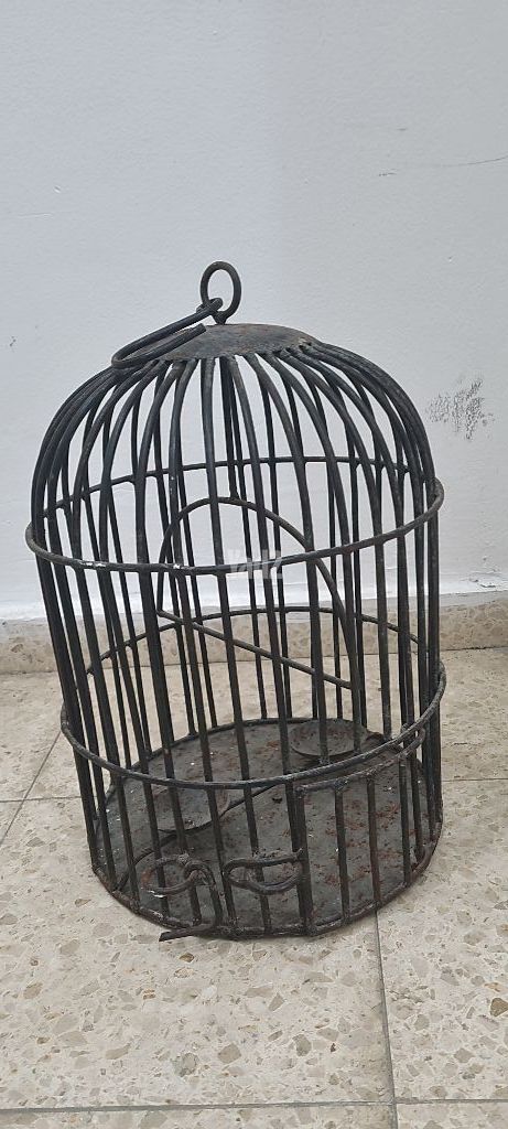 זוג כלובי מתכת