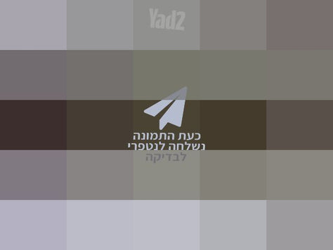 מאורר