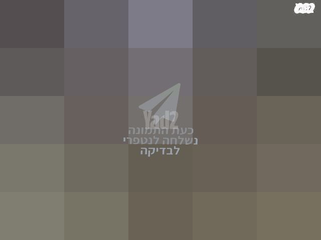 נינגה גריל