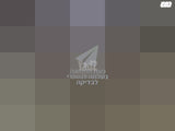 נינגה גריל