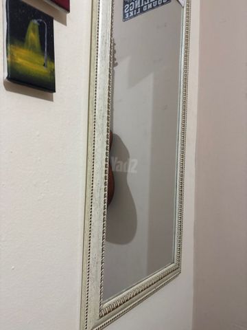 מראת גוף