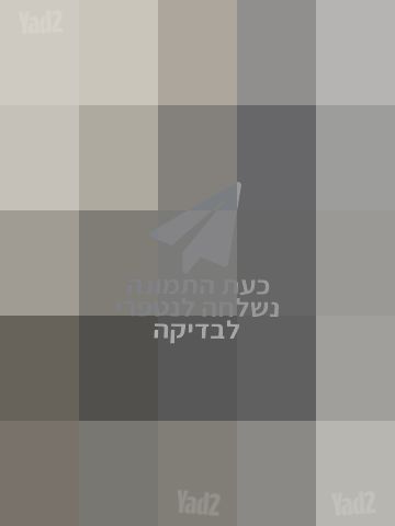אקדח נשק