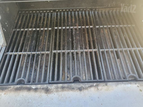 ברביקיו Coleman gourmet 3+1