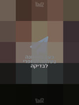 מתנפח אטרקציה מדהימה