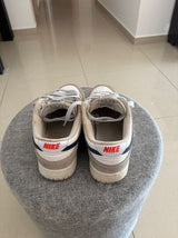 Nike dunk low mini swoosh