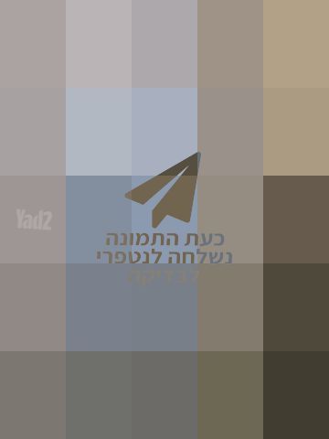 דלת אלומיניום