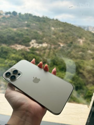 iPhone 12 Pro Max 256GB