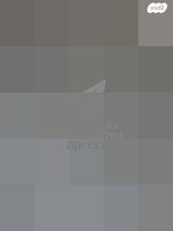 זוג מזרונים