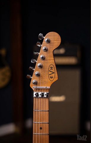 EVH FRANKIE RELIC