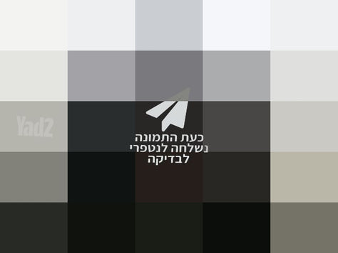 ממונעים