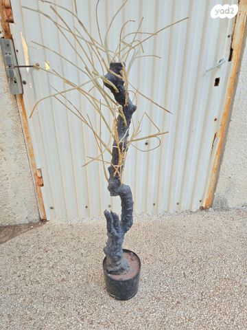 עץ מלאכותי צחיח, גובה 1 מטר