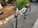 אופנים
