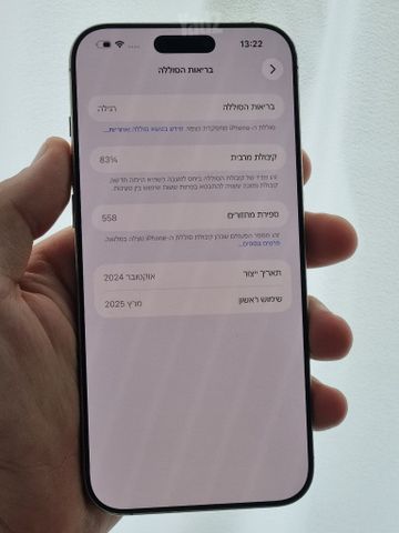 16 פרו מקס 256
