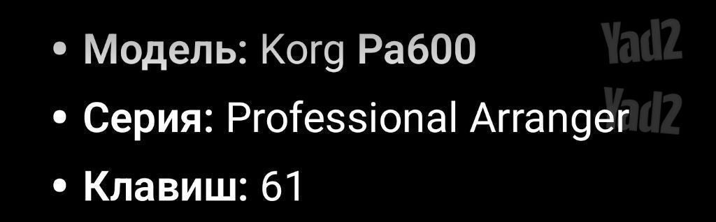 KORG PA600