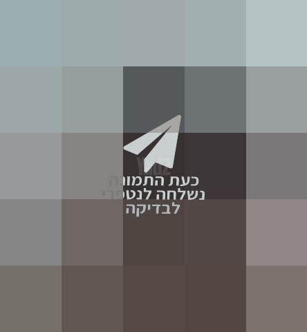 עגלת תינוק MUTZY